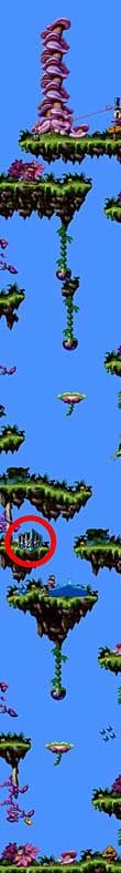 Dschungel Level 09