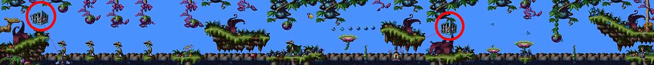 Dschungel Level 10