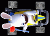 rabbid