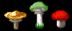 Pilze