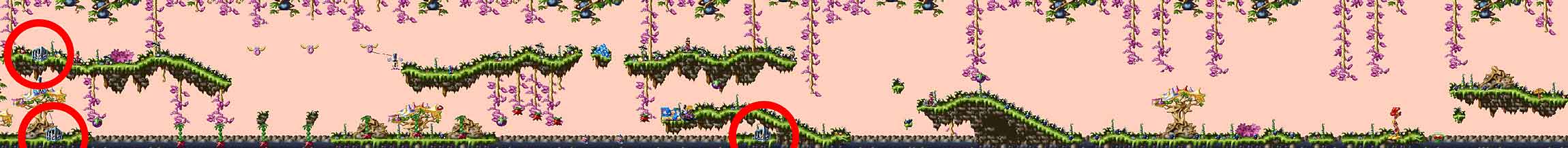 Dschungel/Jungle Level 12