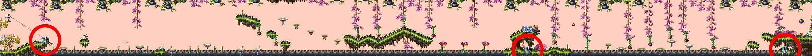 Dschungel/Jungle Level 13