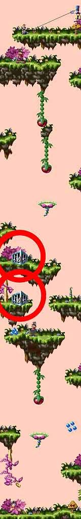 Dschungel/Jungle Level 09
