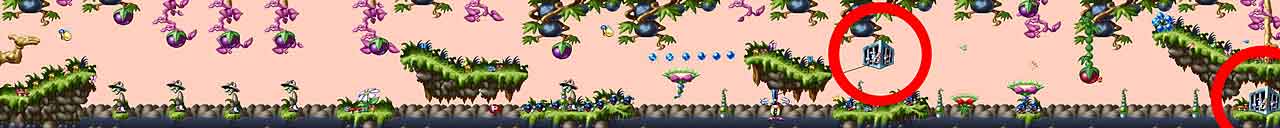 Dschungel/Jungle Level 10