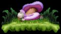 Pilz im Dschungel / Mushroom in the jungle