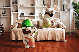 Les Lapins Cr&eacute;tins 3 