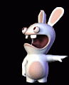Bunny