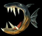 Piranha