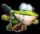 Murfy