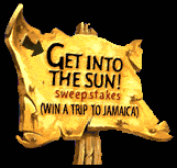 Get into the sun!