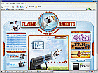 Flying Rabbits