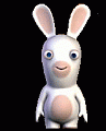 Lapin