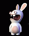 Rabbid