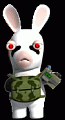 Rabbid