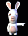 Rabbid