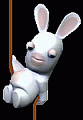 Rabbid