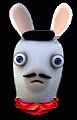 Rabbid