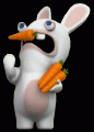 Rabbid