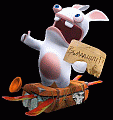 Rabbid