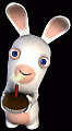 Rabbid