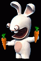 Rabbid