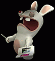 Rabbid