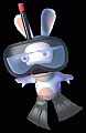 Rabbid