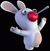 Rabbid