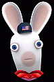 Rabbid