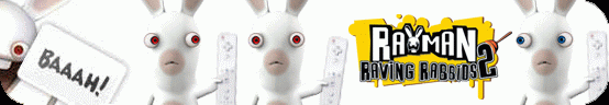 Rayman Raving Rabbids US Banner