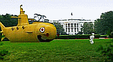 Rabbids in Washington