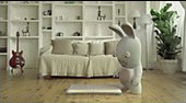 The Lapins Cretins Show - Rabbids and the Wii Balance Board