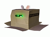 Rabbids