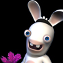 Rabbid