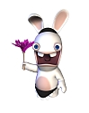 Rabbid