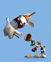 Rabbid