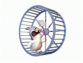 Rabbid