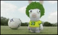 Bunnies can't .... Brazil