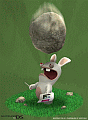 Rayman Raving Rabbids - Nintendo DS Artwork