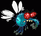 Fly