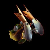 Ptz&ecirc;tres