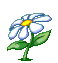Blume