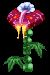 balfleur