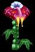 balfleur