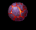 Lava anni